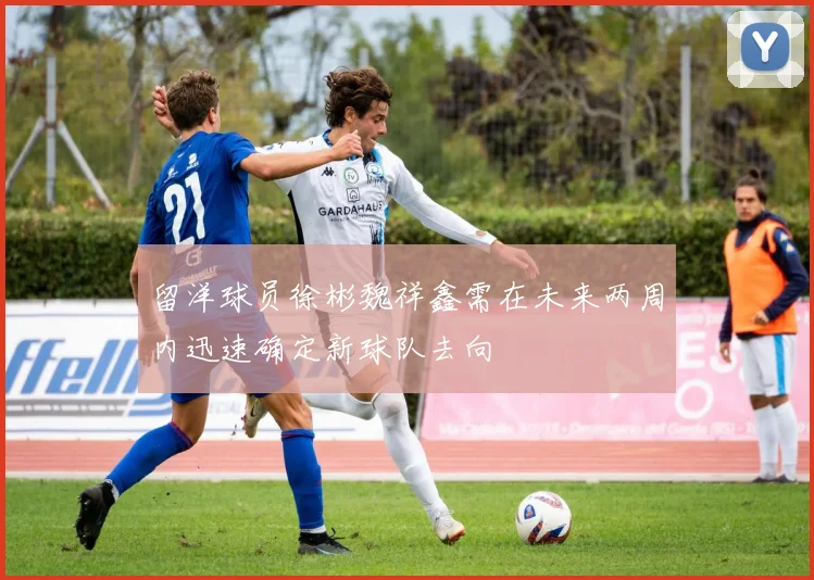 留洋球员徐彬魏祥鑫需在未来两周内迅速确定新球队去向
